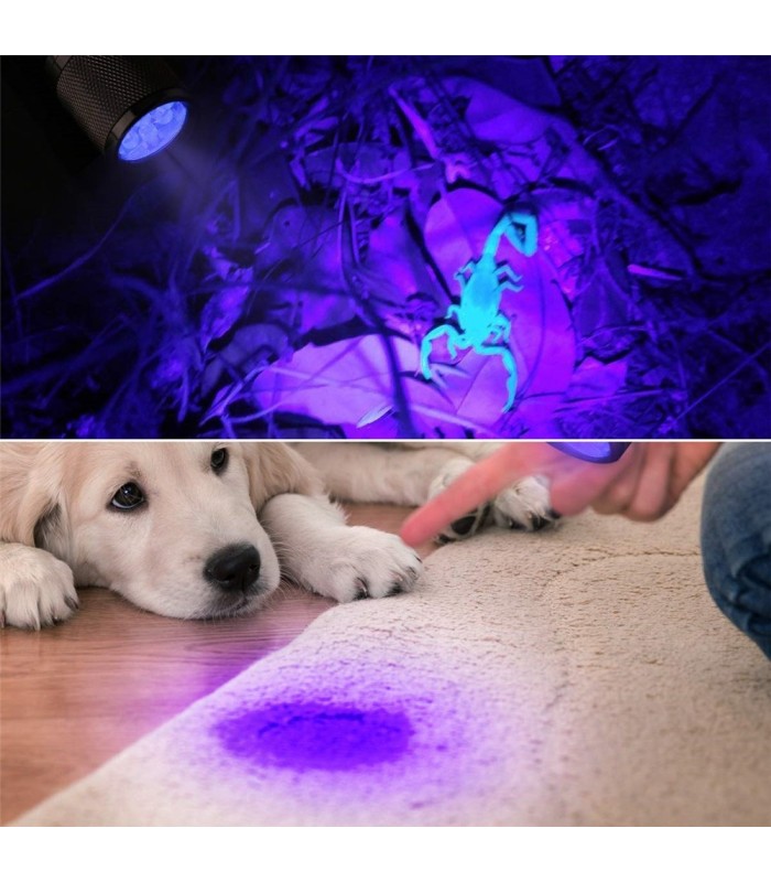 Linterna led Ultra Violeta 50led