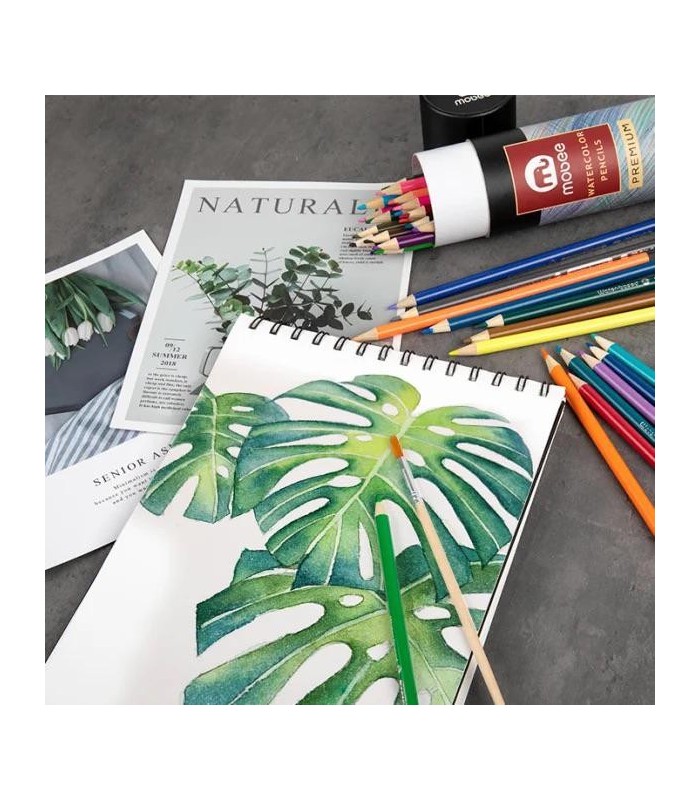 Lapiz de color watercolor MOBEE 12PC