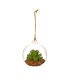 Florero terrario de vidrio para colgar 10cm