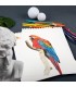 Lapiz de color premium MOBEE12PC