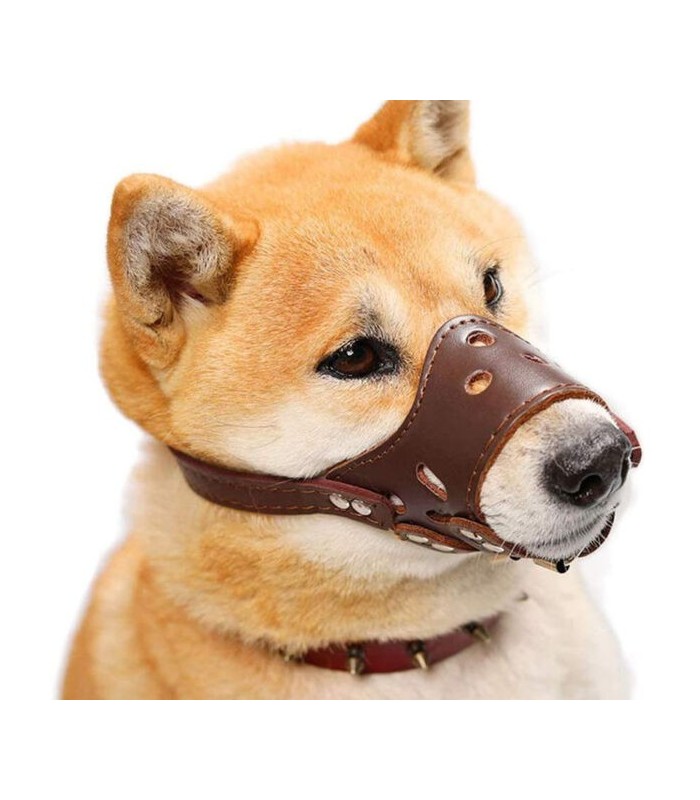 Bozal de cuerina para mascotas