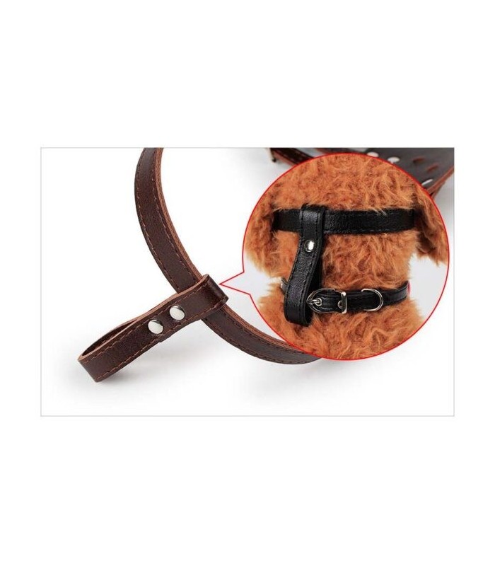 Bozal de cuerina para mascotas