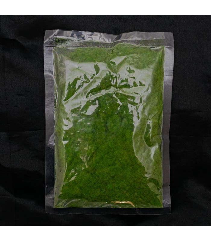 Polvo de hierba estatica verde musgo 30g