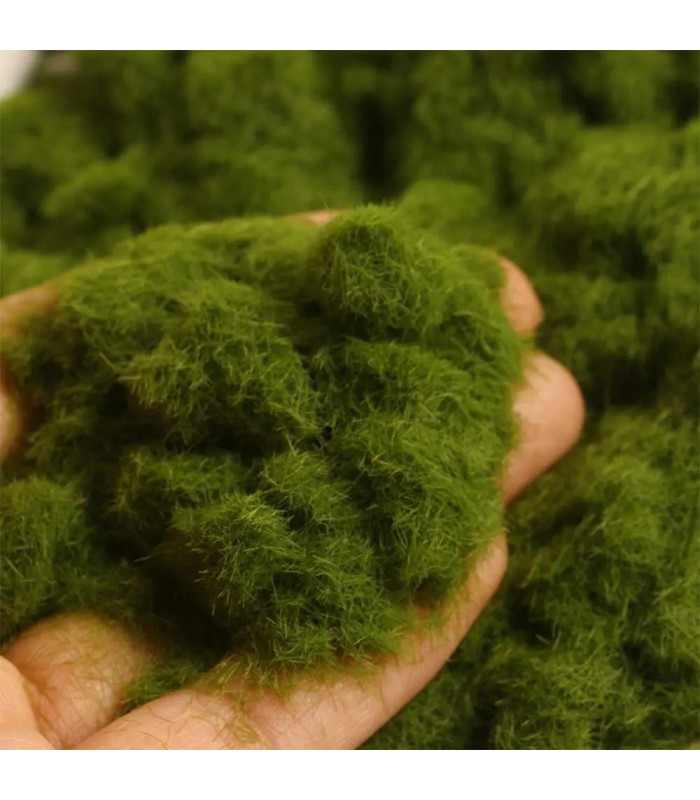 Polvo de hierba estatica verde musgo 30g