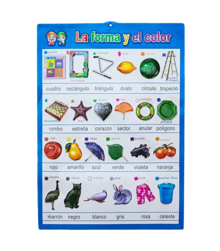 Lamina de aprendizaje