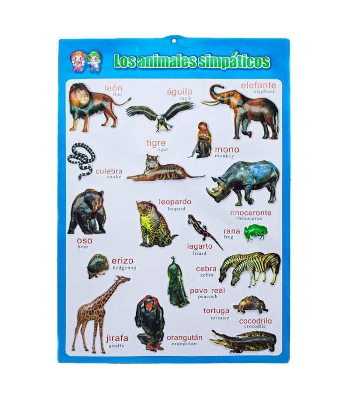Lamina de aprendizaje