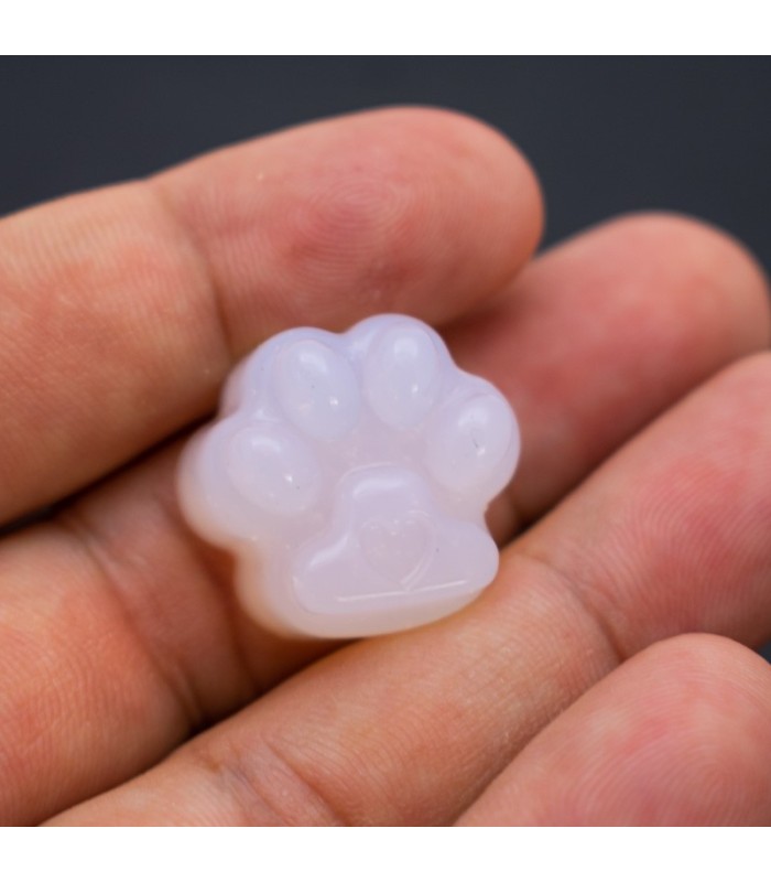 Molde de silicona interno huella de gato pequeño