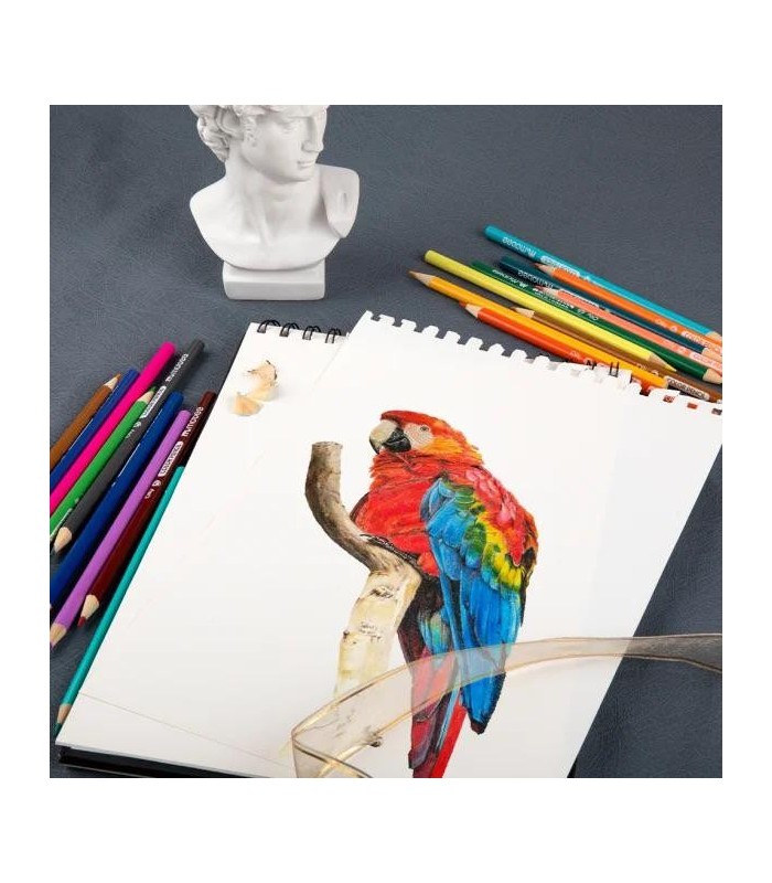 Lapiz de color premium  MOBEE 24PC