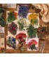 Sticker pvc de flores
