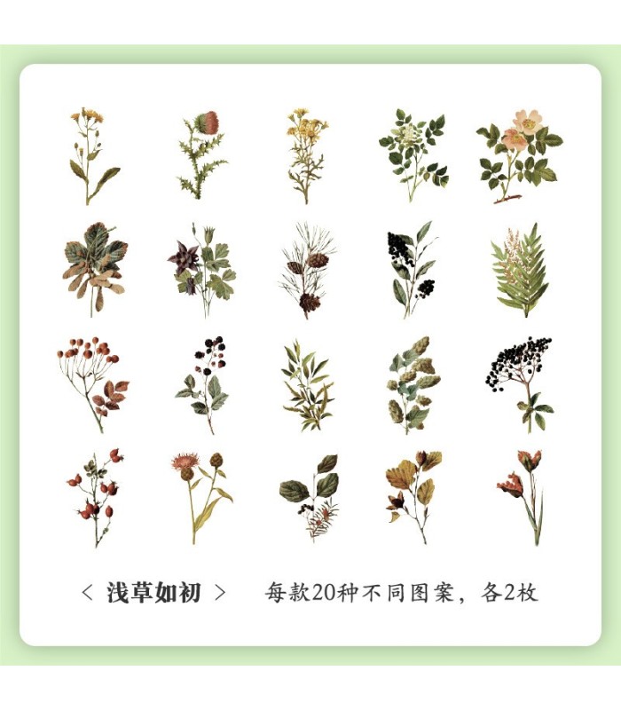Sticker pvc de flores