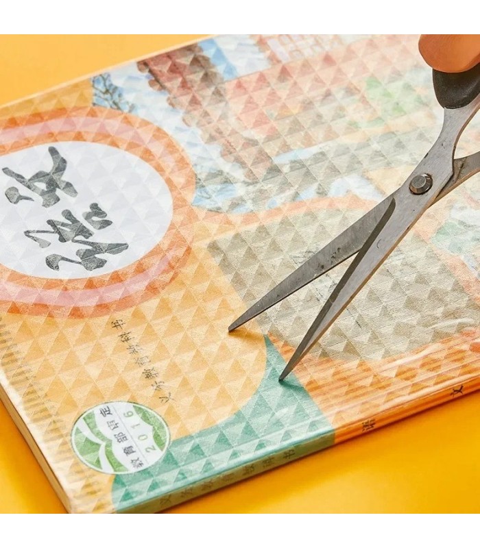 FILM PROTECTOR P/ LIBRO 10PC 40x30CM