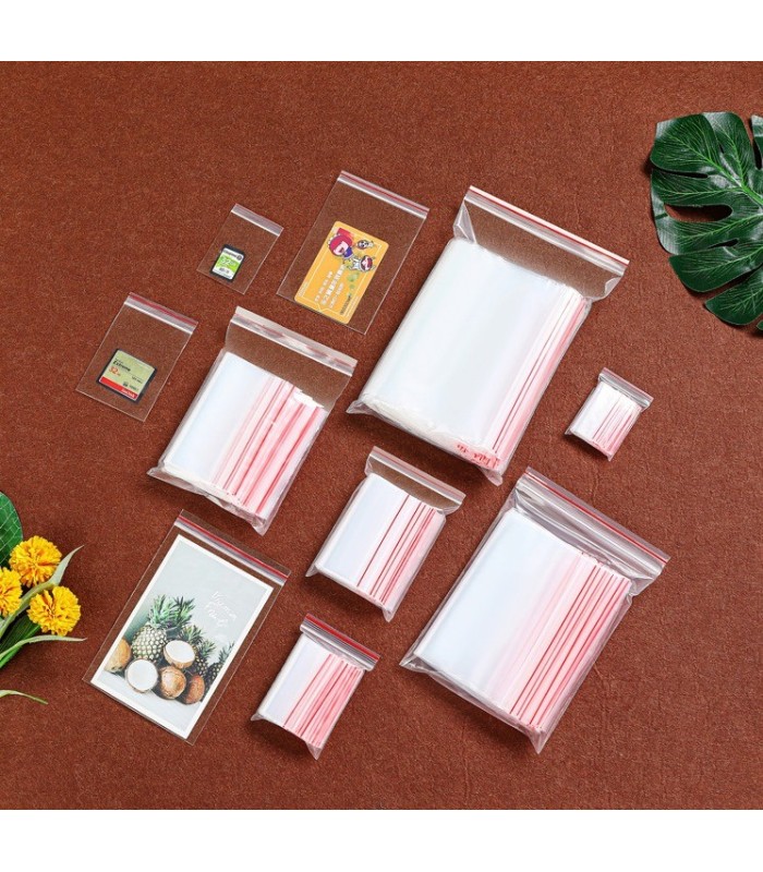 Bolsa ZIP hermetico 9x13cm 100pcs N4.5