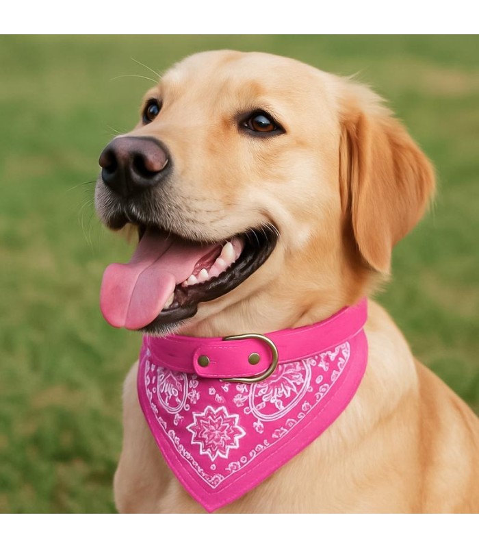 COLLAR P/ MASCOTA C/ PANDERETA 42x2CM