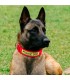 Collar para perro police dog 66cm