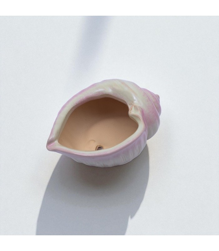 Maceta forma de caracol 9.5x7.5x1cm