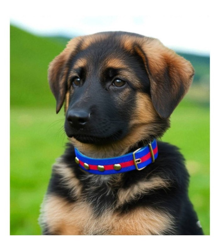 COLLAR P/ MASCOTA 49CM 00186