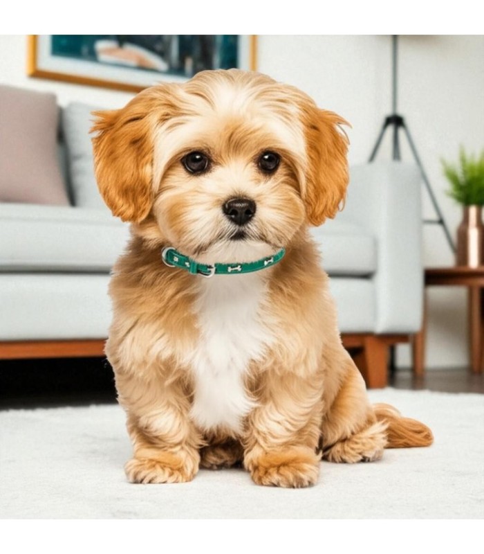 COLLAR C/3 HUESITO BORDE NEGRO 1.5x35CM