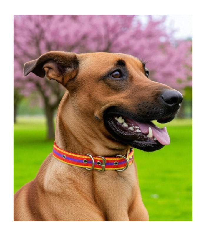 COLLAR PARA PERRO 3.5x60CM