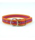 COLLAR PARA PERRO 3.5x60CM
