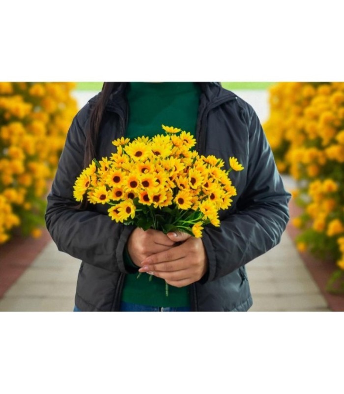 FLOR GIRASOL 22 CABEZA
