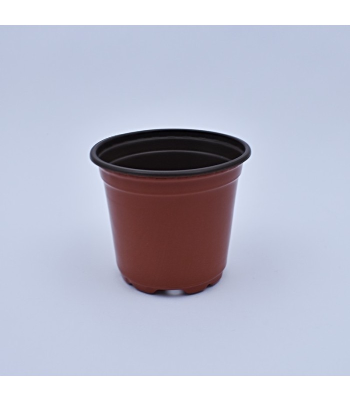 Plantera termoformado marrón 10x10cm