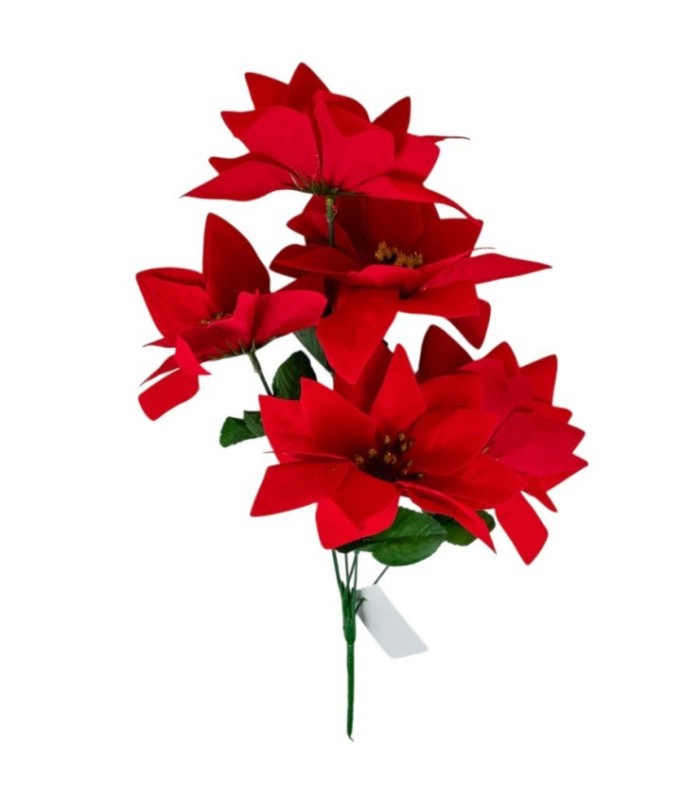 FLOR FEDERAL 5CABEZA