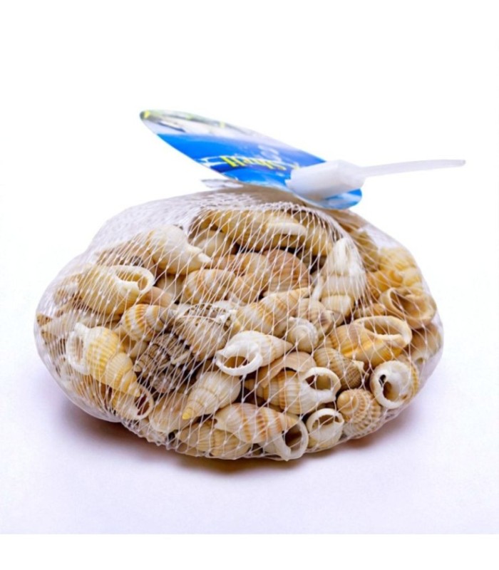 Caracol de mar 100g