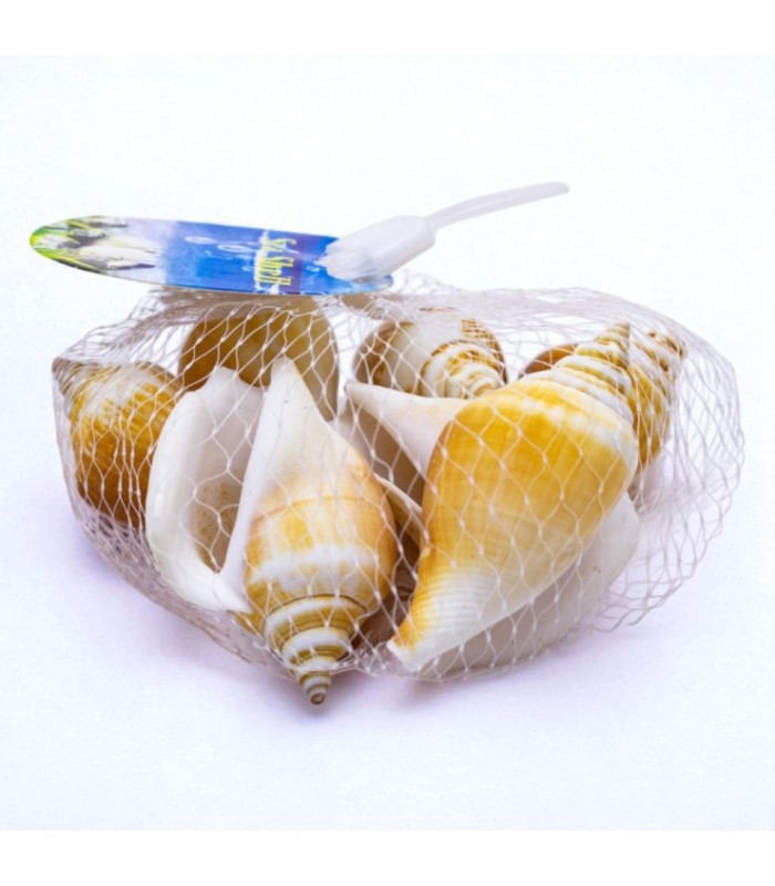 Caracol de mar 100g