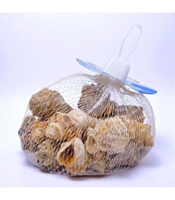 Caracol de mar 100g