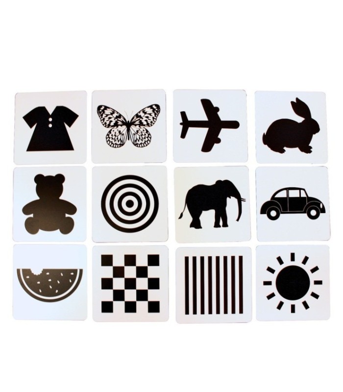 TARJETA DE PRENDIZAJE 24PCS