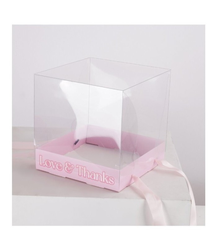 CAJA VISOR ELEVADO CON MOÑO 20CM 2PCS