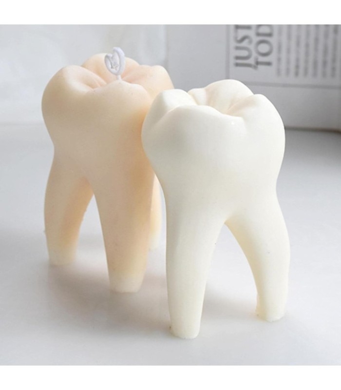 MS DIENTE 10.8x7.2CM 53153