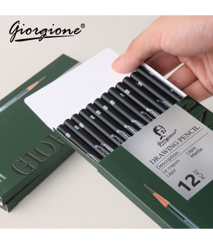 Set de lapices para dibujo giorgione 12pcs