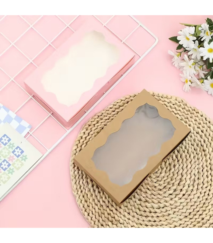 CAJA C/ VISOR 12PCS 18x11x3.8CM