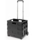 Carrito transportador 40l capacidad máx. 50kg