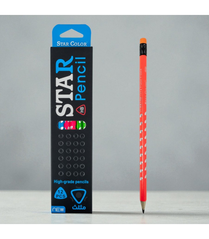 Lápiz negro 12 piezas