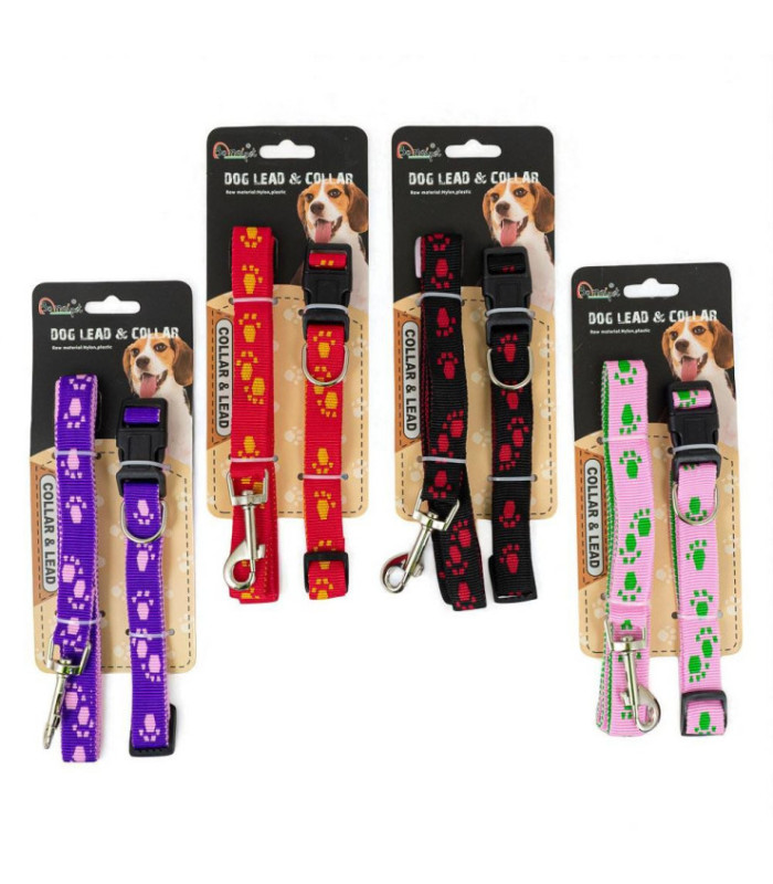 Correa y collar para perro 2uds.