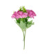 FLOR DALILA