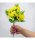 FLOR DALILA