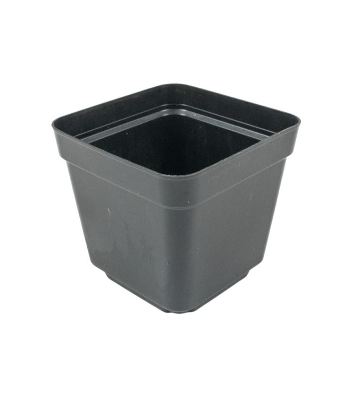 Plantera de plastico negro 8x7cm