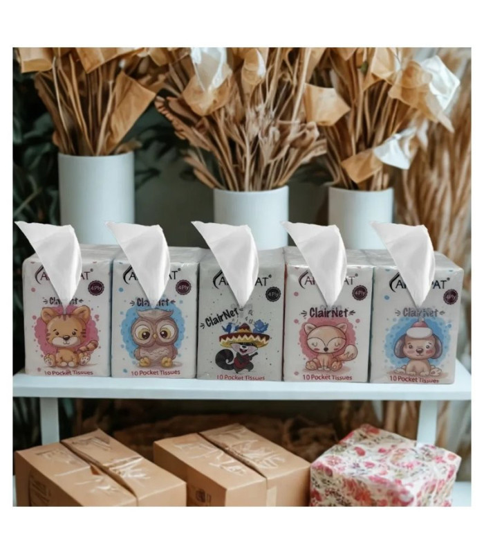 PAÑUELO DESECHABLE 10PCS