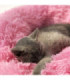CAMA PUFF PARA MASCOTA 50CM