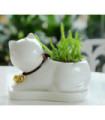 Maceta diseño gatito con base 12cm
