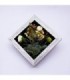 Cuadro con flor 20x20cm