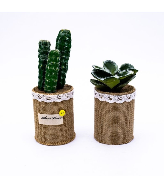 Planta cactus con florero arpillera ud.