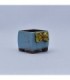 Maceta cuadrada con moño 7.5x6.5x6cm