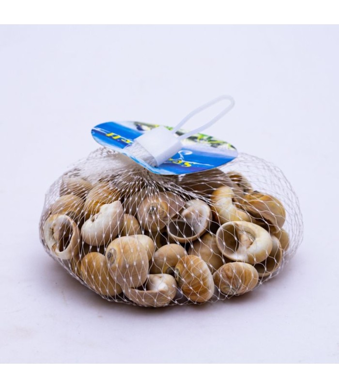 Caracol de mar 100g