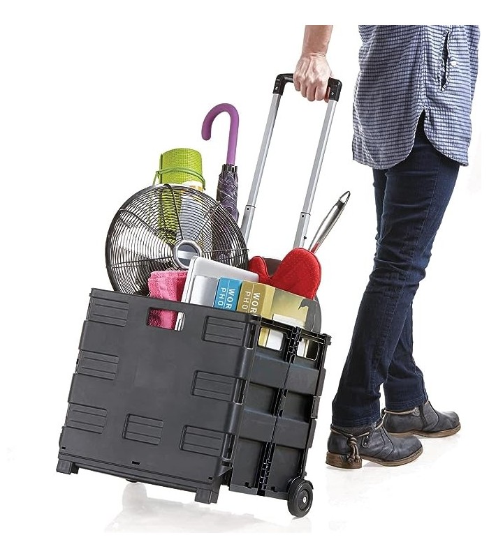 Carrito transportador 40l capacidad máx. 50kg