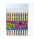 Crayola diseño infantil 12pc