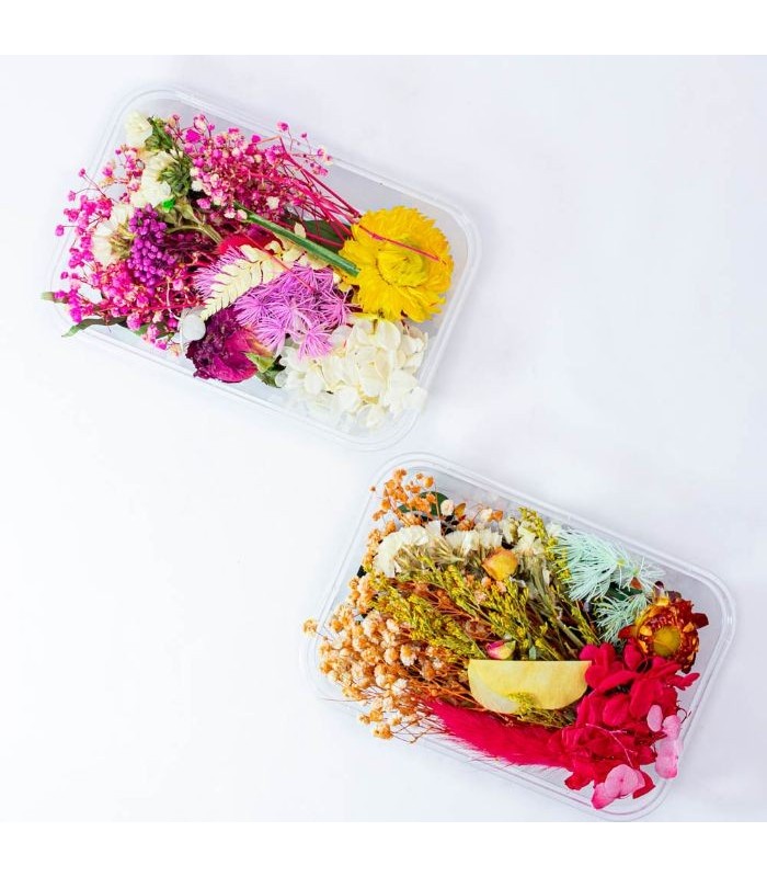 Flor seca de bricolage surtido